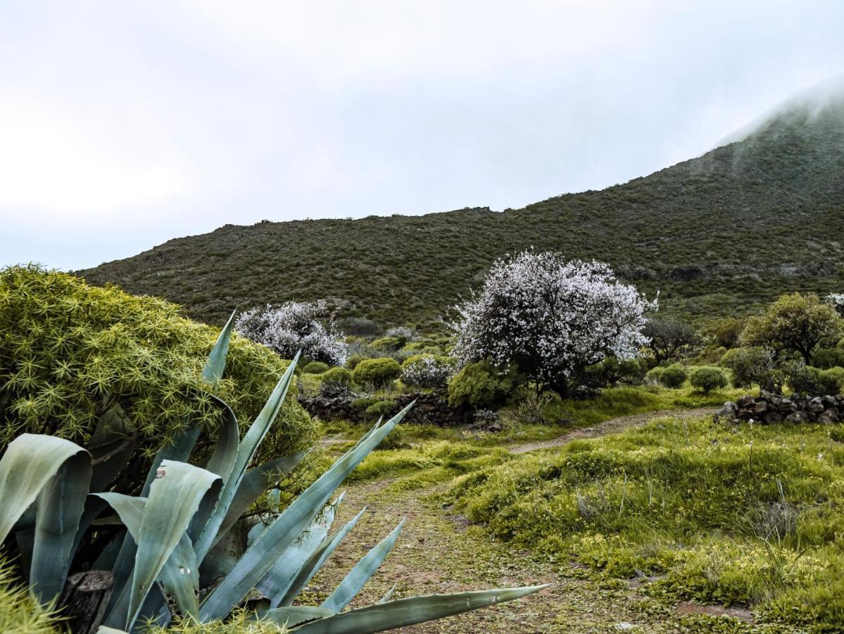 Luxury Villa In Nature With Swimming Pool Tenerife, Santiago Del Teide, With Sea And Mountain Views El Retamar Extérieur photo