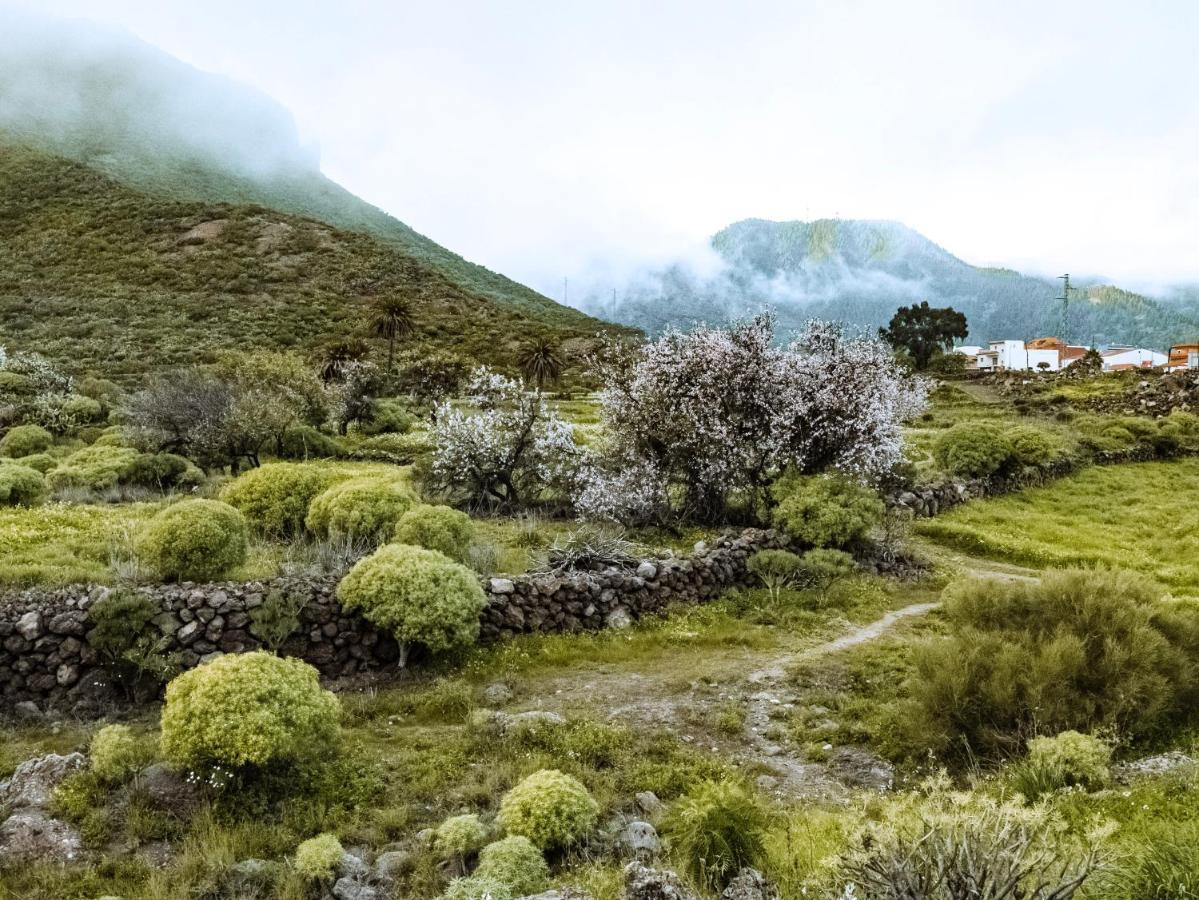 Luxury Villa In Nature With Swimming Pool Tenerife, Santiago Del Teide, With Sea And Mountain Views El Retamar Extérieur photo